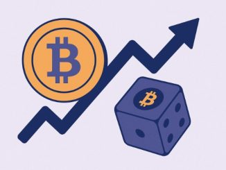 Pourquoi ce jeu est populaire chez les crypto-parieurs